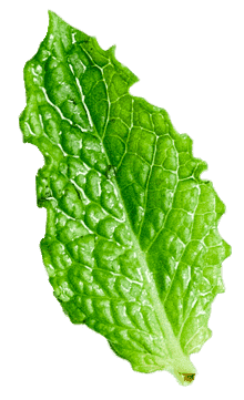 herbal-remedy_36