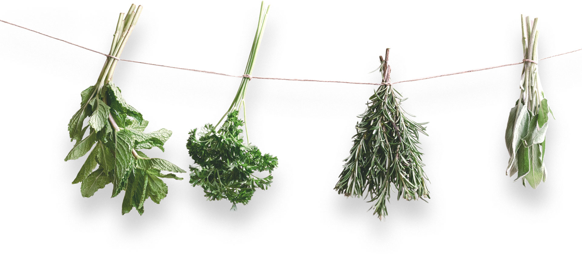 herbal-remedy_77